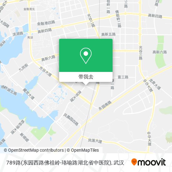 789路(东园西路佛祖岭-珞喻路湖北省中医院)地图