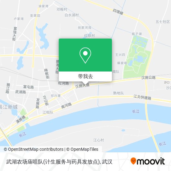 武湖农场庙咀队(计生服务与药具发放点)地图