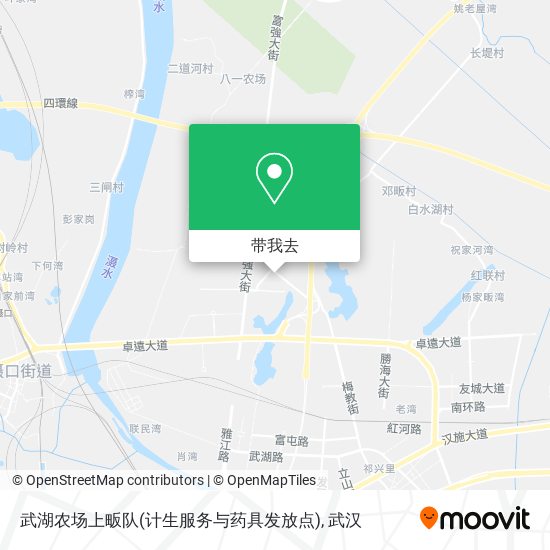 武湖农场上畈队(计生服务与药具发放点)地图