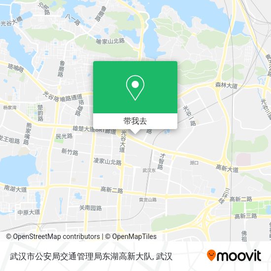 武汉市公安局交通管理局东湖高新大队地图