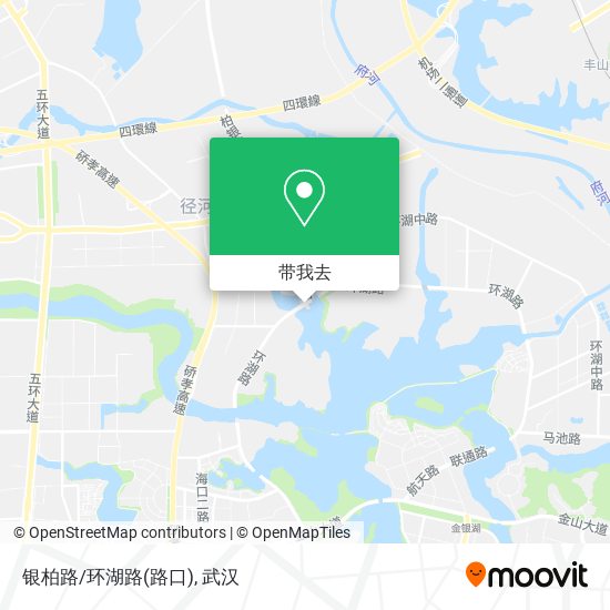 银柏路/环湖路(路口)地图