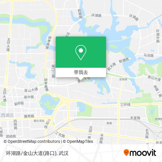 环湖路/金山大道(路口)地图