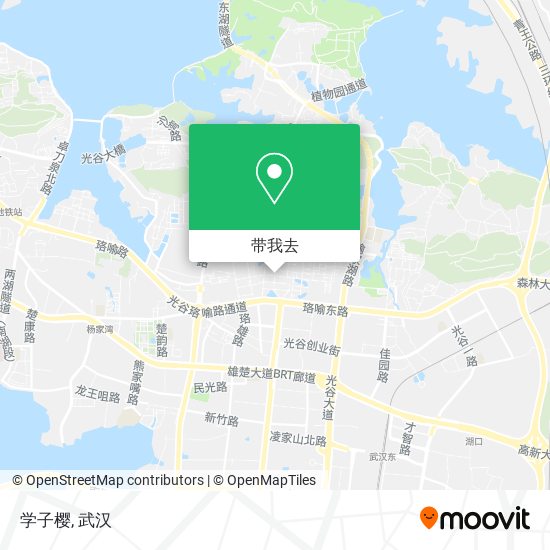 学子樱地图