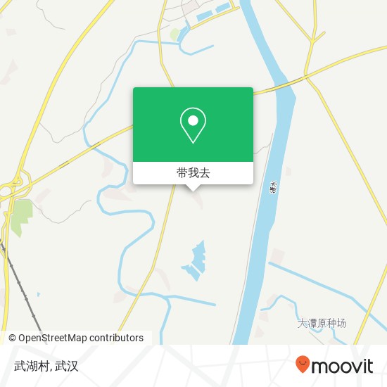 武湖村地图
