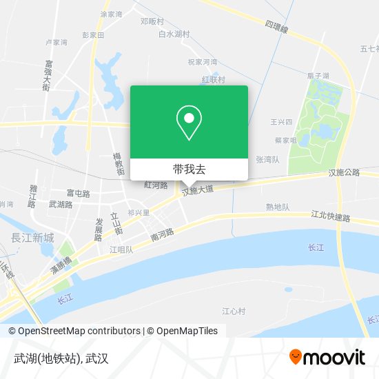 武湖(地铁站)地图
