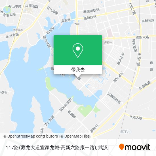 117路(藏龙大道宜家龙城-高新六路康一路)地图