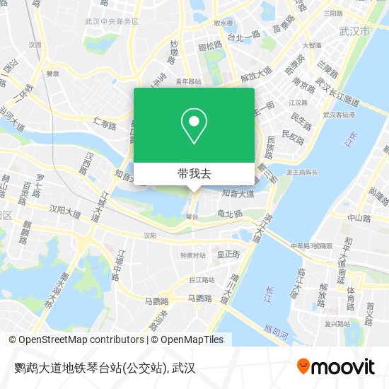 鹦鹉大道地铁琴台站(公交站)地图