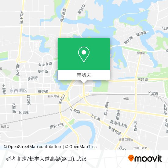 硚孝高速/长丰大道高架(路口)地图