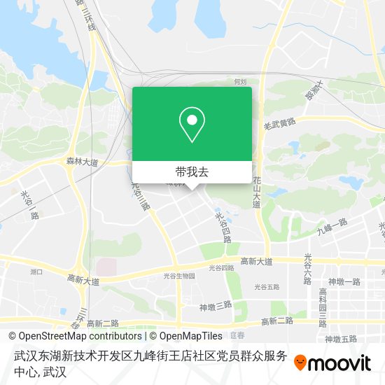 武汉东湖新技术开发区九峰街王店社区党员群众服务中心地图