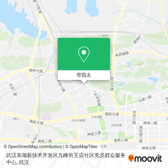 武汉东湖新技术开发区九峰街王店社区党员群众服务中心地图
