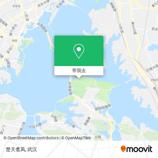 楚天翥凤地图