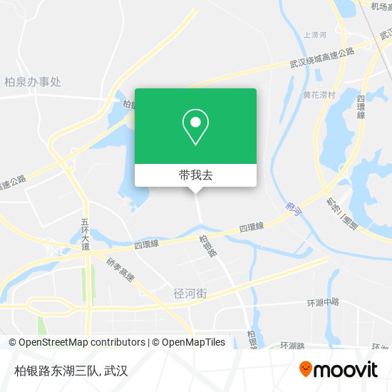 柏银路东湖三队地图