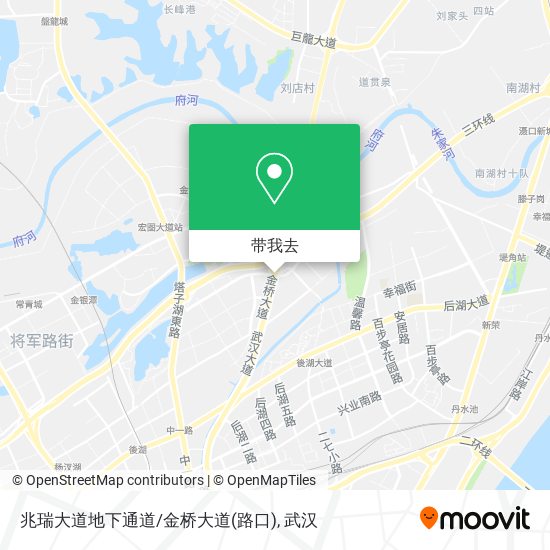兆瑞大道地下通道/金桥大道(路口)地图