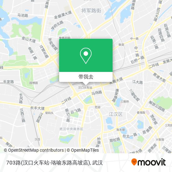 703路(汉口火车站-珞喻东路高坡店)地图