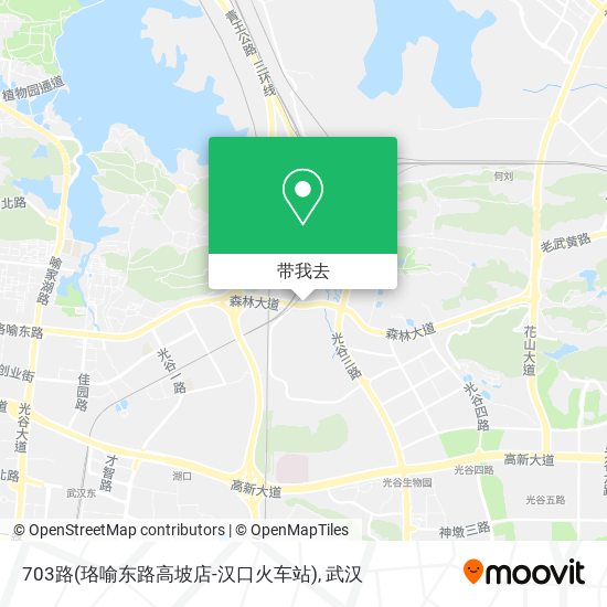 703路(珞喻东路高坡店-汉口火车站)地图