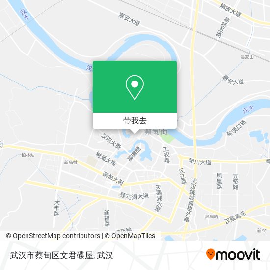 武汉市蔡甸区文君碟屋地图
