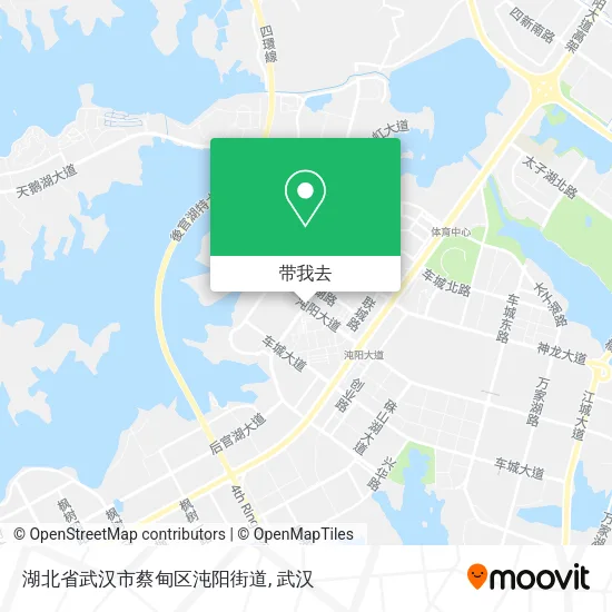 湖北省武汉市蔡甸区沌阳街道地图