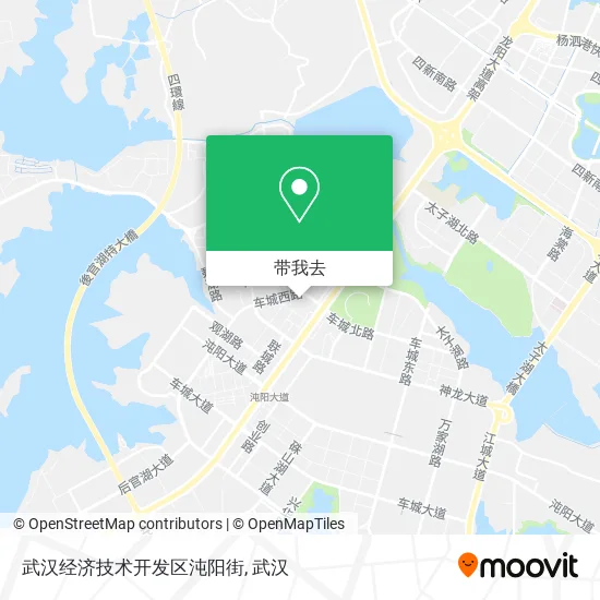 武汉经济技术开发区沌阳街地图