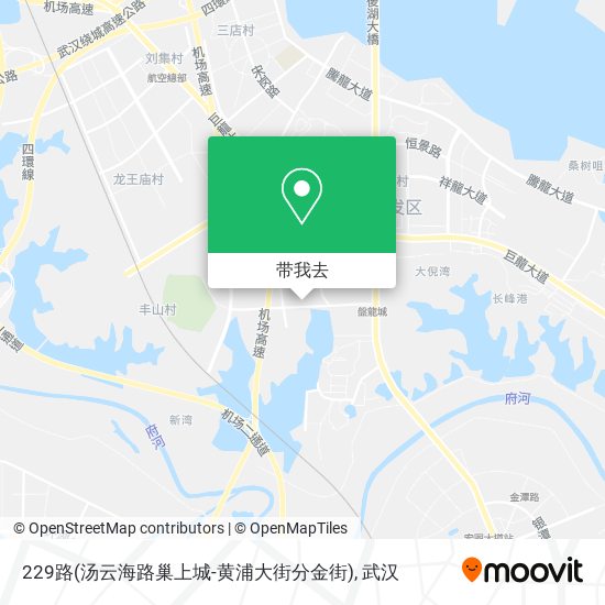 229路(汤云海路巢上城-黄浦大街分金街)地图