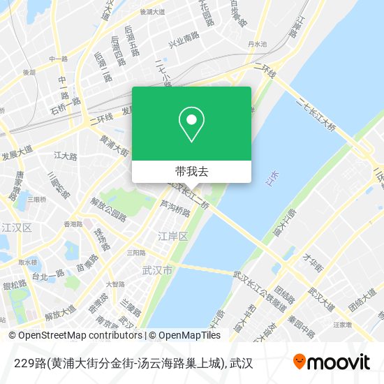 229路(黄浦大街分金街-汤云海路巢上城)地图