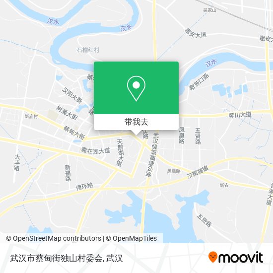 武汉市蔡甸街独山村委会地图