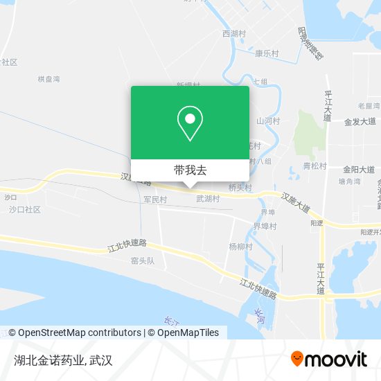 湖北金诺药业地图