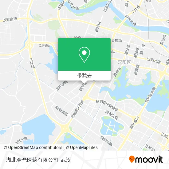 湖北金鼎医药有限公司地图