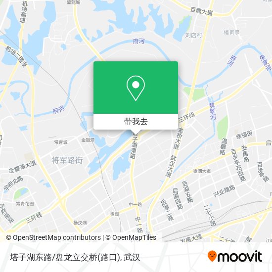 塔子湖东路/盘龙立交桥(路口)地图