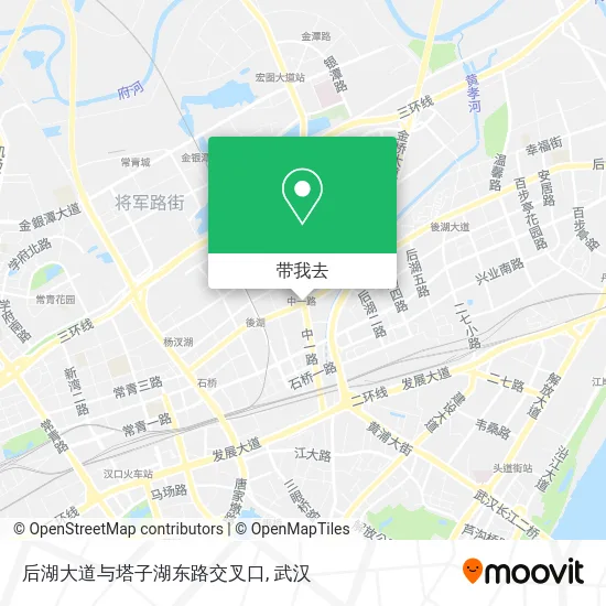 后湖大道与塔子湖东路交叉口地图