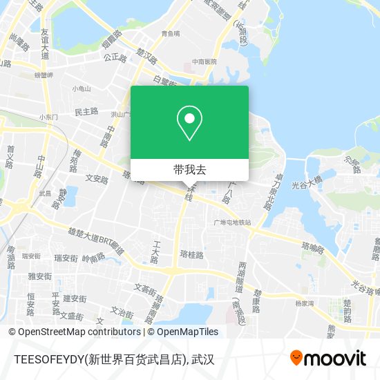 TEESOFEYDY(新世界百货武昌店)地图