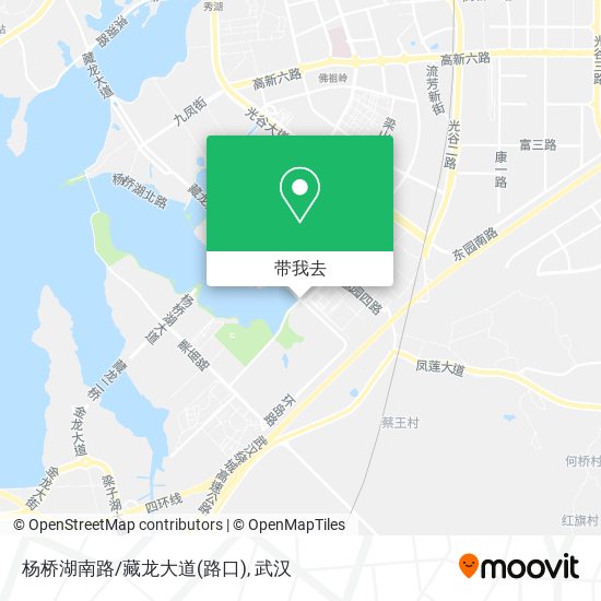 杨桥湖南路/藏龙大道(路口)地图