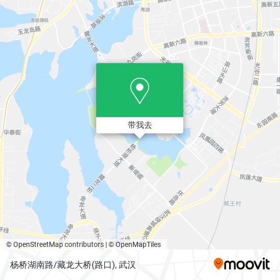 杨桥湖南路/藏龙大桥(路口)地图