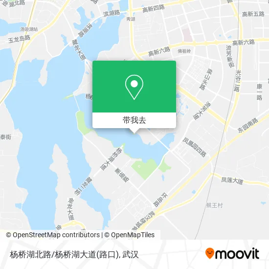 杨桥湖北路/杨桥湖大道(路口)地图