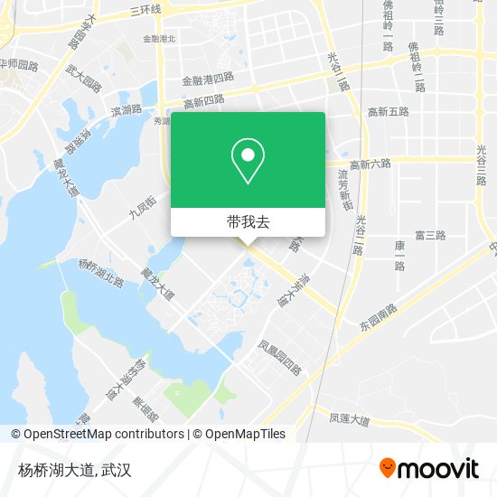 杨桥湖大道地图