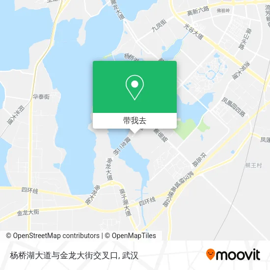 杨桥湖大道与金龙大街交叉口地图