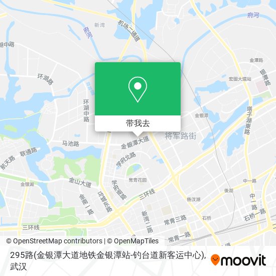 295路(金银潭大道地铁金银潭站-钓台道新客运中心)地图