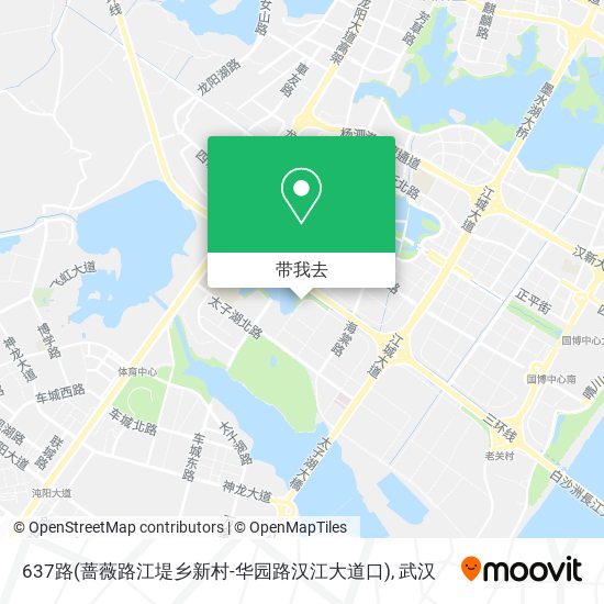 637路(蔷薇路江堤乡新村-华园路汉江大道口)地图