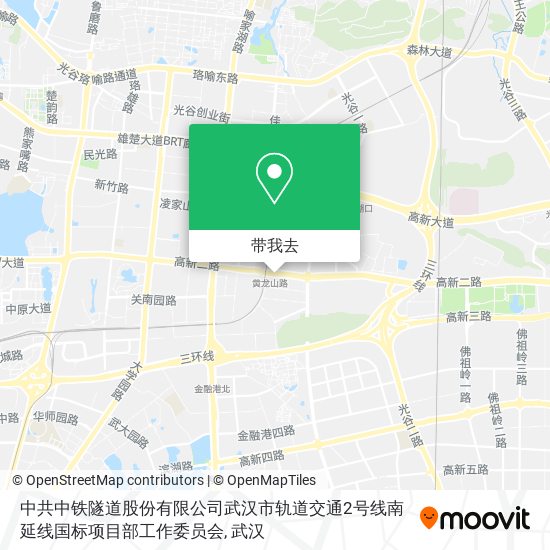 中共中铁隧道股份有限公司武汉市轨道交通2号线南延线国标项目部工作委员会地图