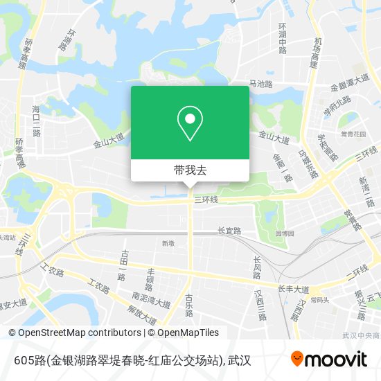 605路(金银湖路翠堤春晓-红庙公交场站)地图