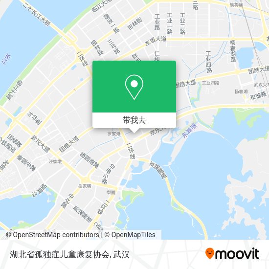 湖北省孤独症儿童康复协会地图