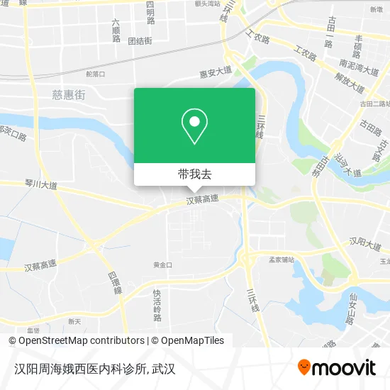 汉阳周海娥西医内科诊所地图