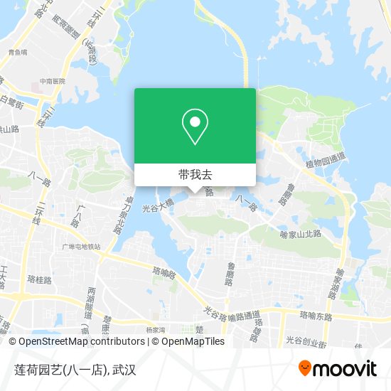 莲荷园艺(八一店)地图