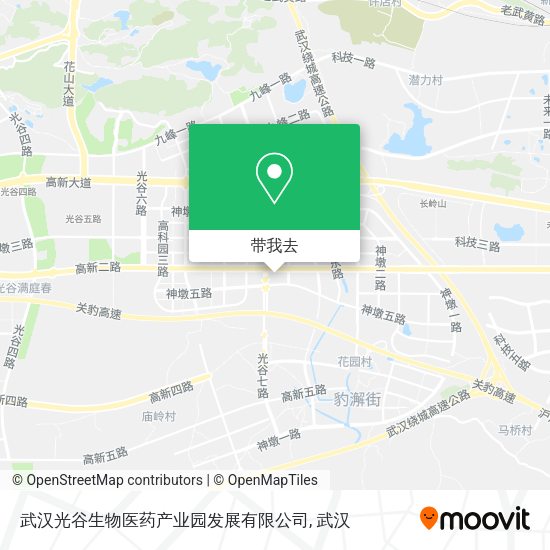 武汉光谷生物医药产业园发展有限公司地图