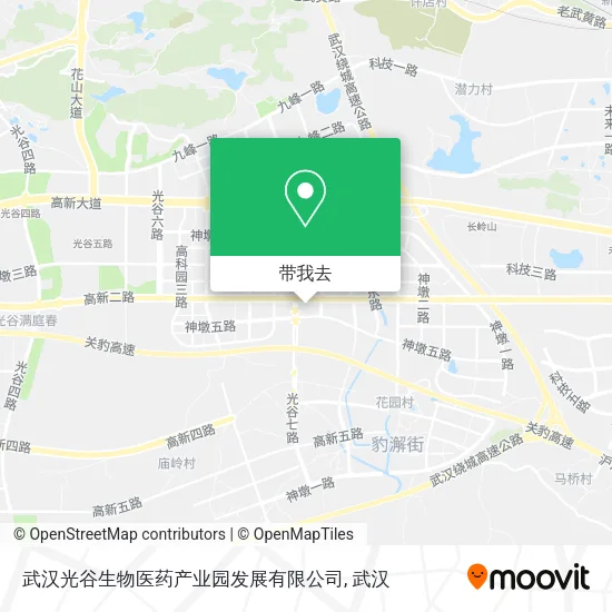 武汉光谷生物医药产业园发展有限公司地图