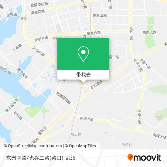 东园南路/光谷二路(路口)地图
