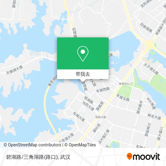 碧湖路/三角湖路(路口)地图