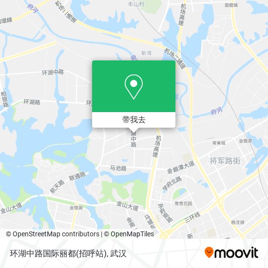 环湖中路国际丽都(招呼站)地图
