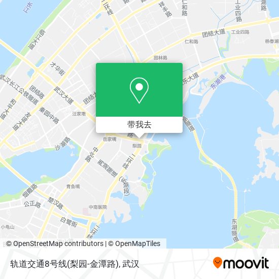 轨道交通8号线(梨园-金潭路)地图