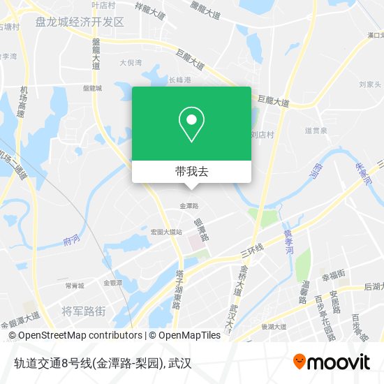轨道交通8号线(金潭路-梨园)地图