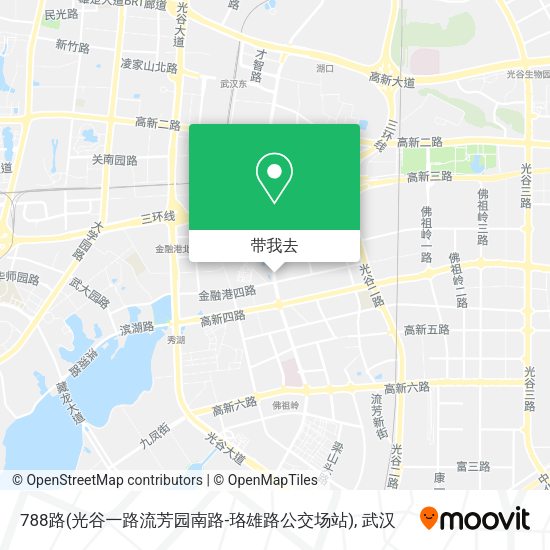 788路(光谷一路流芳园南路-珞雄路公交场站)地图